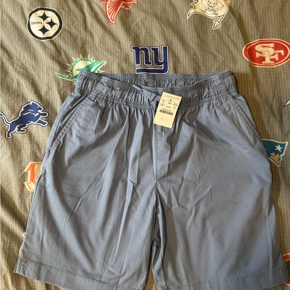 Crewcuts boys light blue shorts